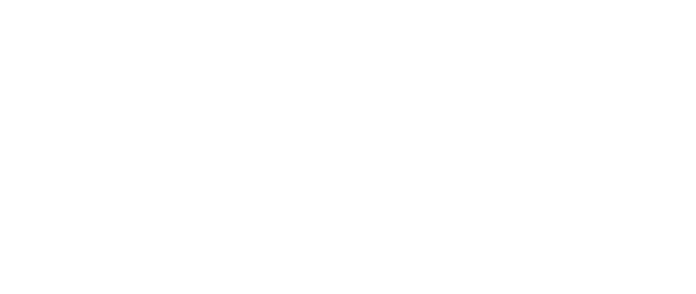DBG International Cars